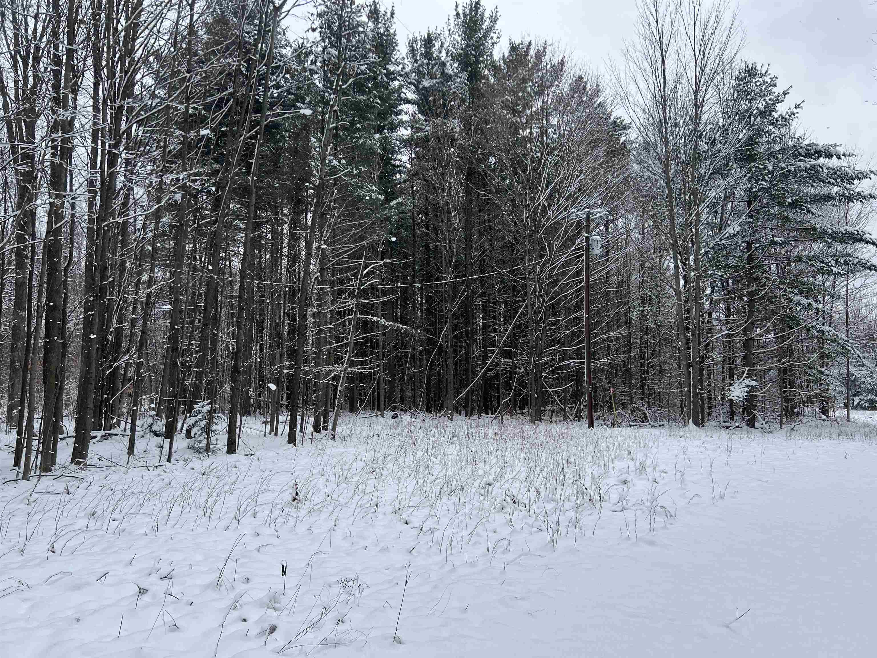 9919 Nichols Road Cadillac, MI 49601 - Photo 13 of 17