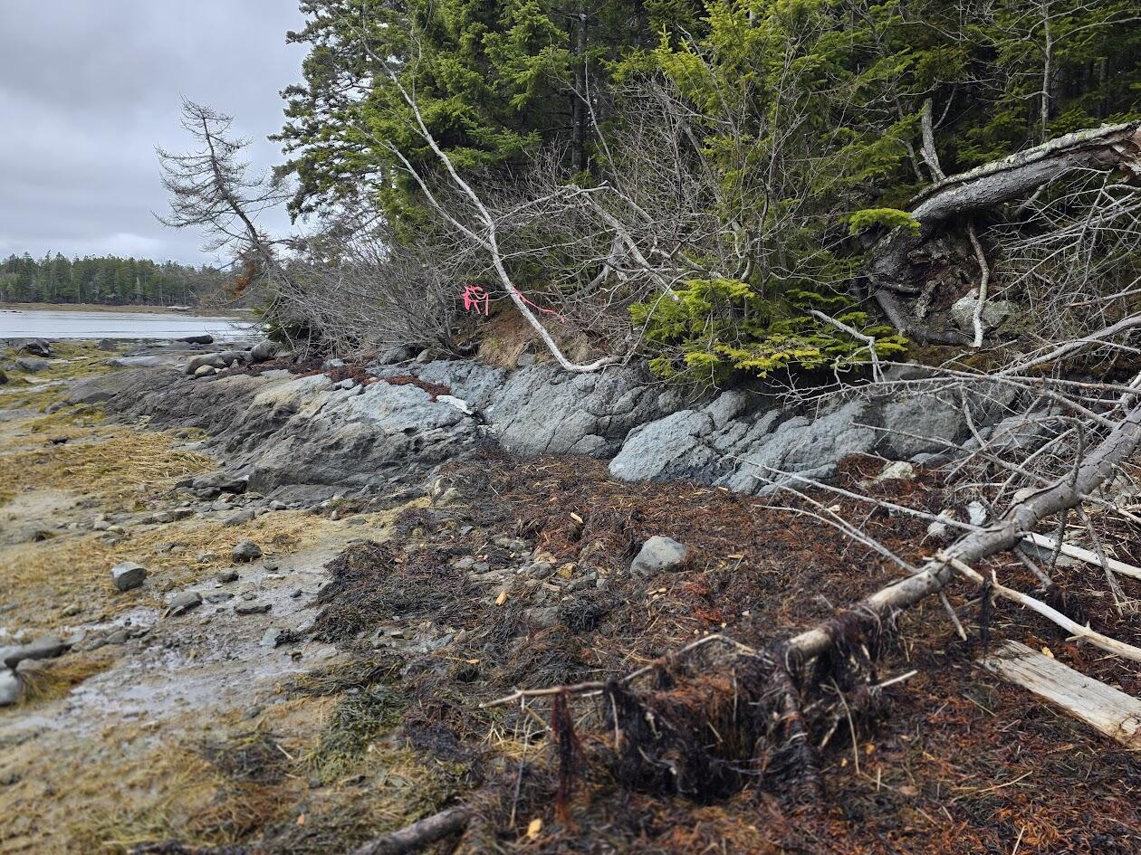 Lot 1 Windward Way Addison, ME 04606 - Photo 8 of 14 20260415_140419