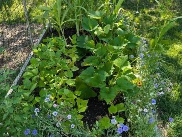 $1,250,000 | 26791 Crooked Creek Avenue, Arcadia, IN 46030