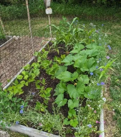 $1,250,000 | 26791 Crooked Creek Avenue, Arcadia, IN 46030