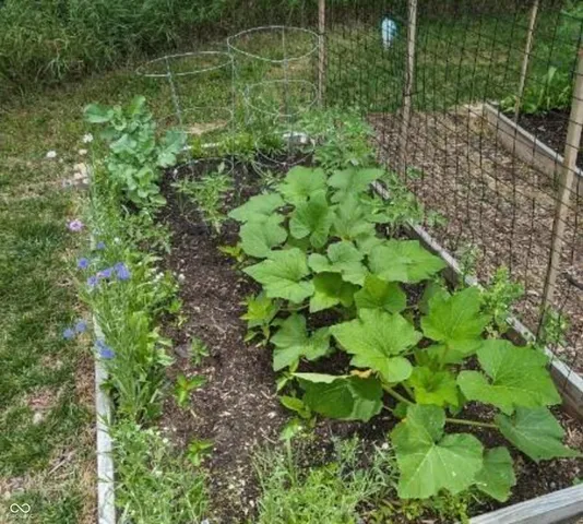 $1,250,000 | 26791 Crooked Creek Avenue, Arcadia, IN 46030