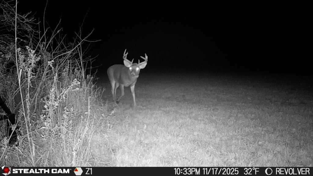 Old Bald Hill Road Hemlock, NY 14466 - Photo 8 of 16 Gallery Image 8