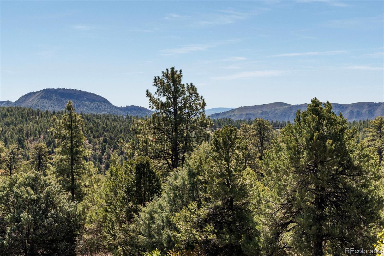 720 Sawmill Road Durango, CO 81303 - Photo 32 of 41