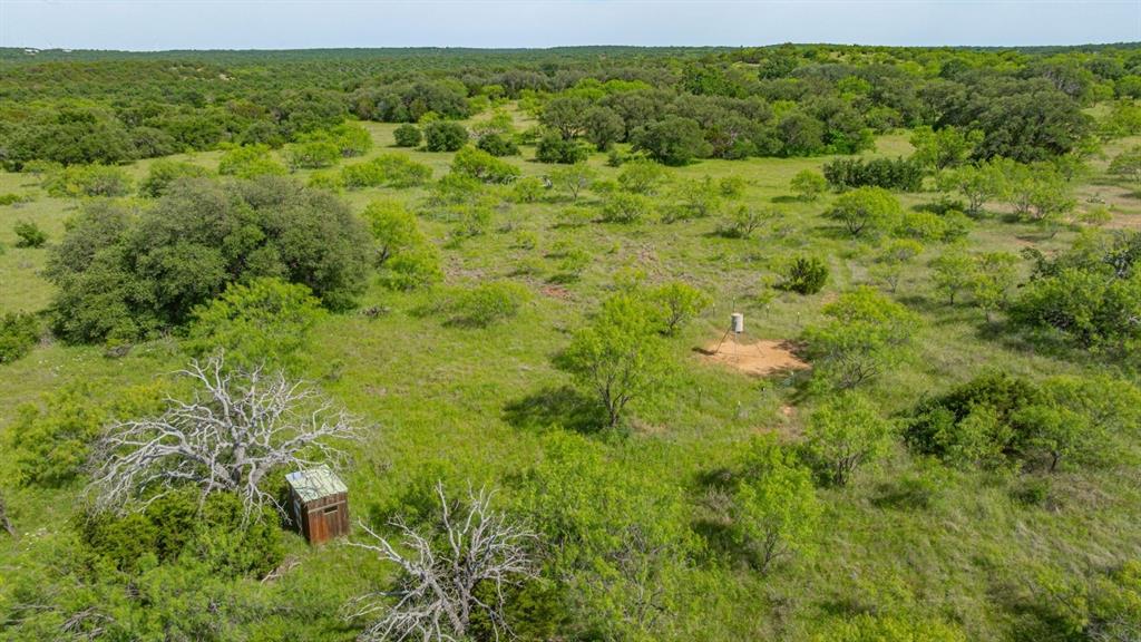 136 Moose Trail Ranger, TX 76470 - Photo 20 of 40 a view of a lush green field