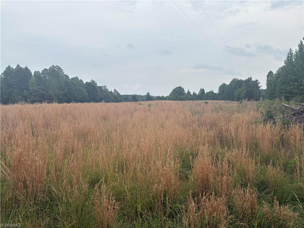 690 Goose Pond Road Ruffin, NC 27326 - Photo 7 of 17