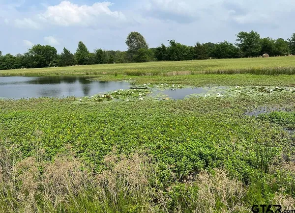 $119,000 | Lot 10-lot Pr 5291 Yantis Tx 75497, Yantis, TX 75497