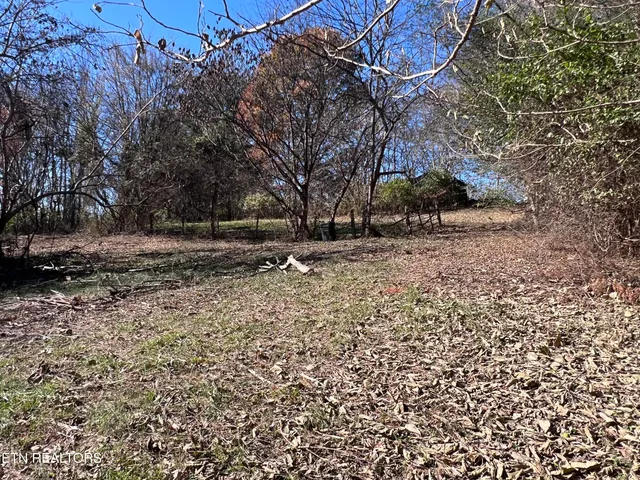 $130,000 | Off Jefferson Street, White Pine, TN 37890