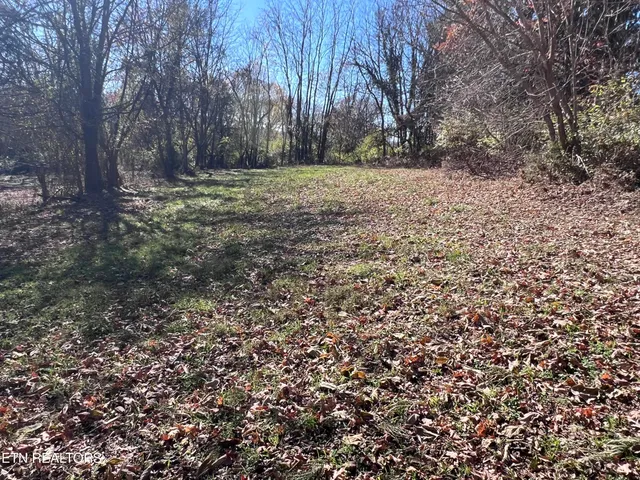 $130,000 | Off Jefferson Street, White Pine, TN 37890