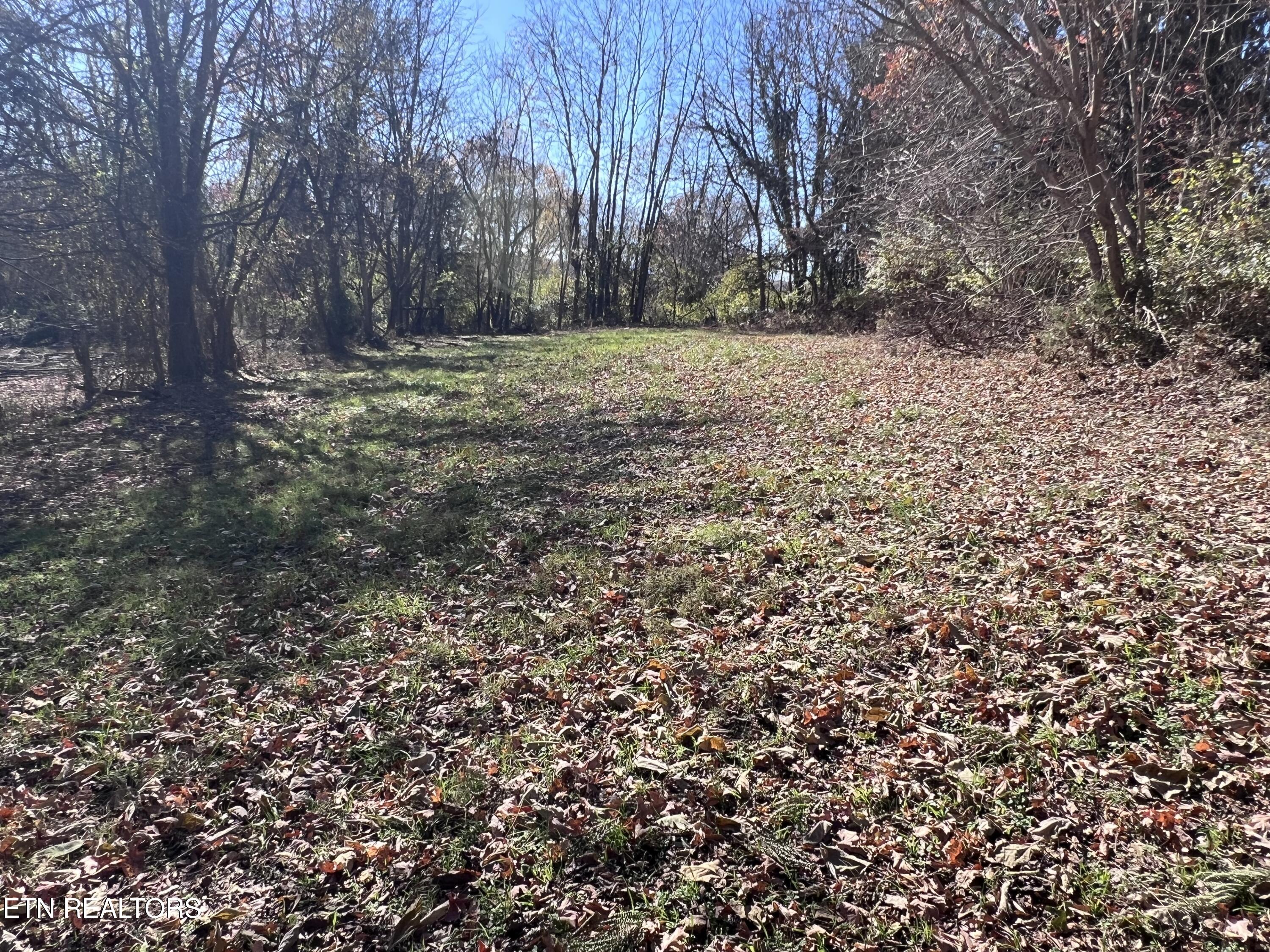 Off Jefferson Street White Pine, TN 37890 - Photo 2 of 6 IMG_0168