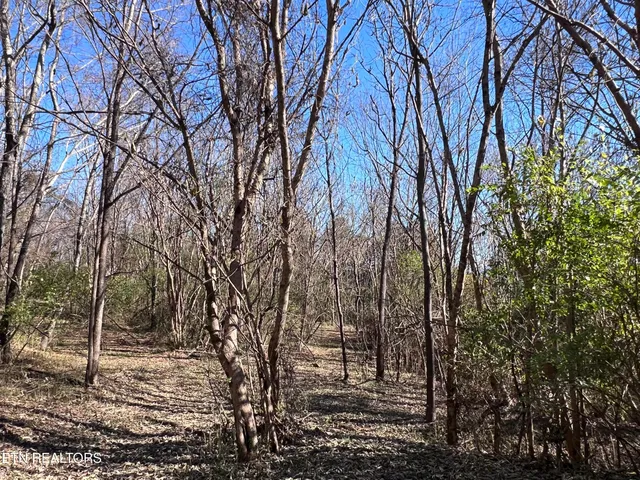 $130,000 | Off Jefferson Street, White Pine, TN 37890