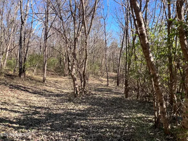 $130,000 | Off Jefferson Street, White Pine, TN 37890