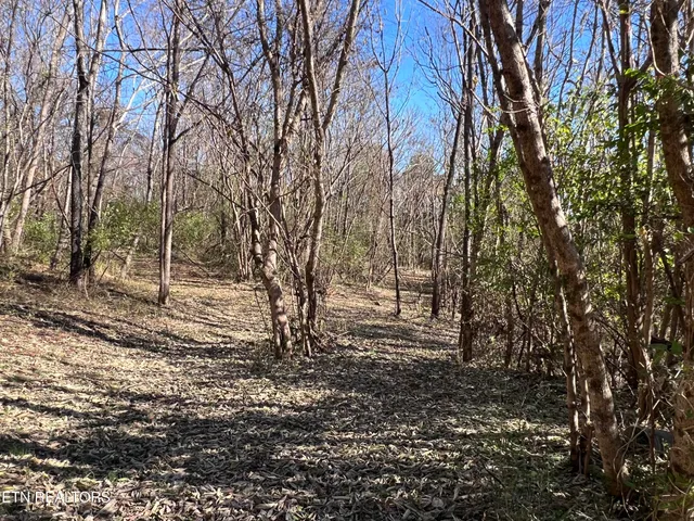 $130,000 | Off Jefferson Street, White Pine, TN 37890