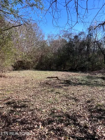 $130,000 | Off Jefferson Street, White Pine, TN 37890