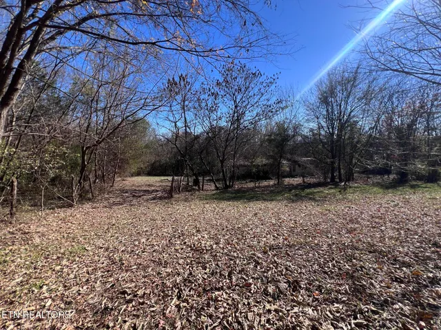 $130,000 | Off Jefferson Street, White Pine, TN 37890