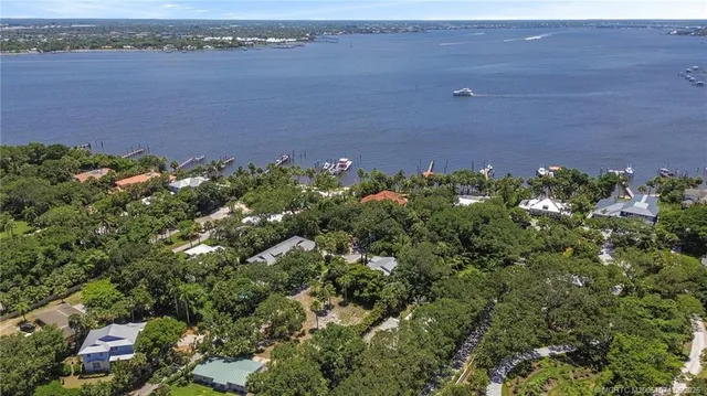 a view of a garden with plants