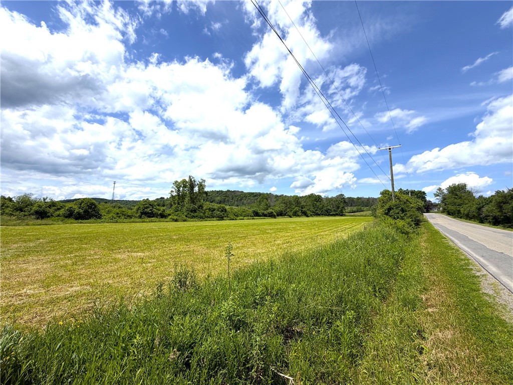Lot 4 Summit Road Cuba, NY 14727 - Photo 2 of 20