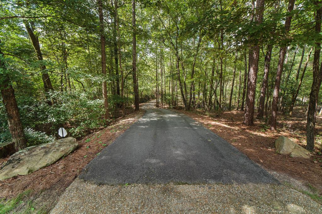 707 Double Churches Road Columbus, GA 31904 - Photo 59 of 59 View from your driveway. In a word, PEACEFUL.