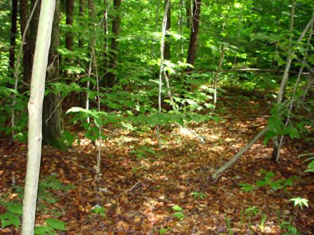 154 North Beech Plain Road Sandisfield, MA 01255 - Photo 3 of 3 Additional Photo
