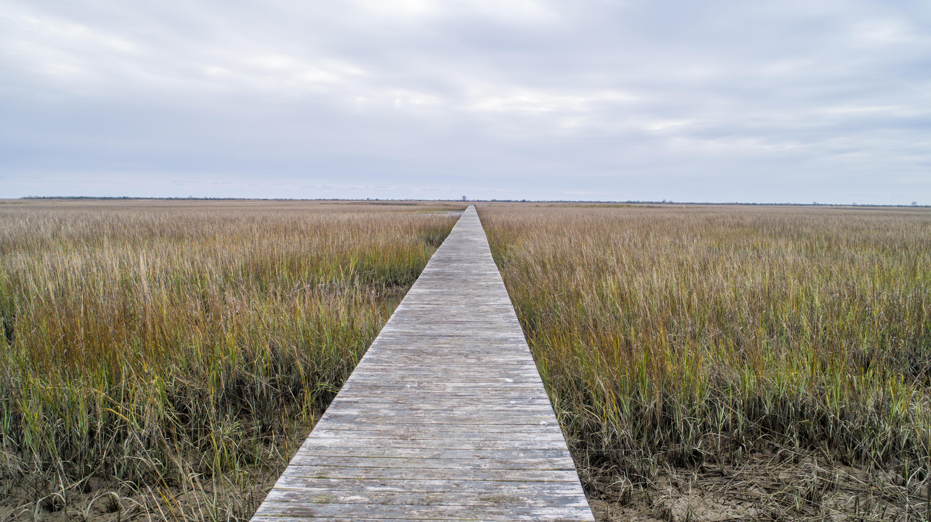1007 Morants Point Road McClellanville, SC 29458 - Photo 7 of 26 Marsh View From LHF Dock