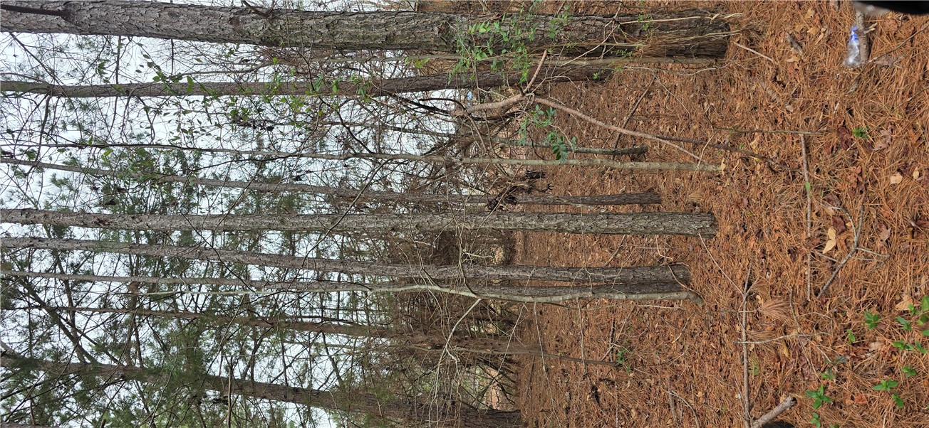 104 P-14-63 Anderson, SC 29621 - Photo 1 of 1