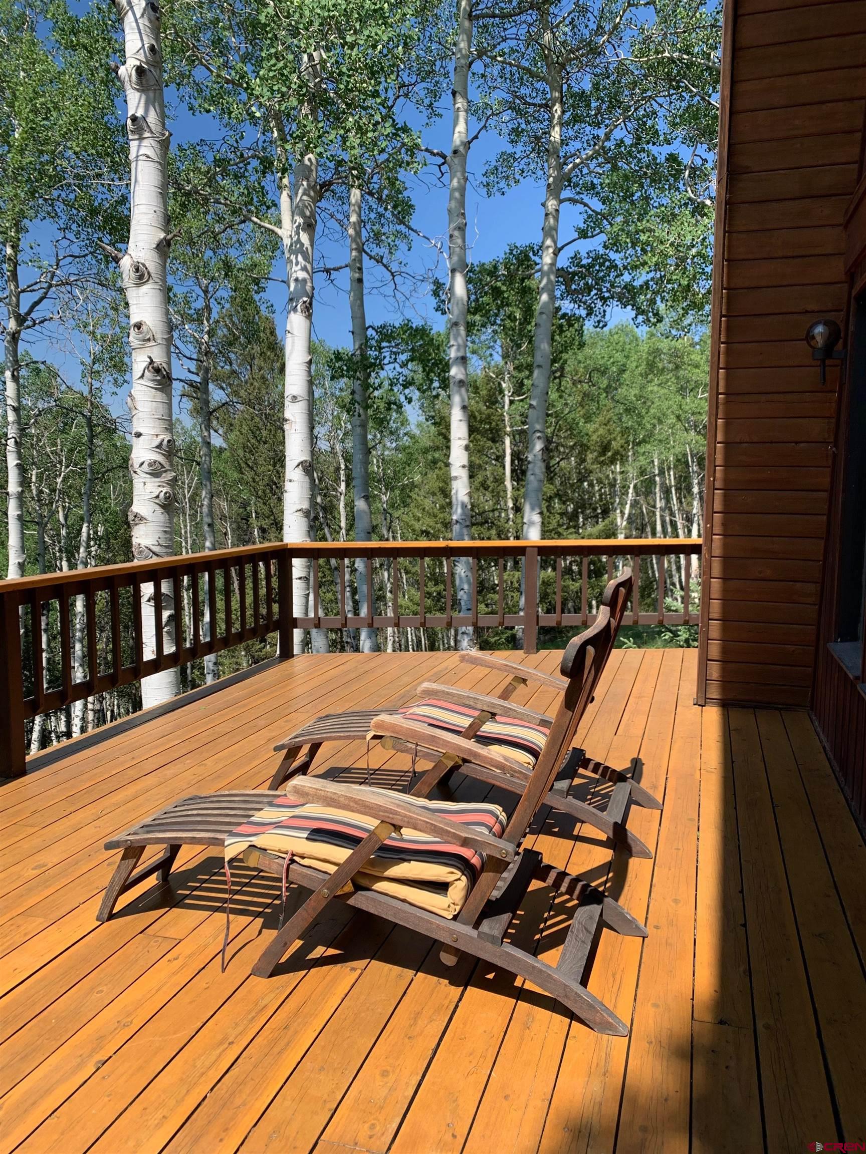 771 Spruce Road Cimarron, CO 81220 - Photo 2 of 34 a view of balcony with wooden floor and outdoor space