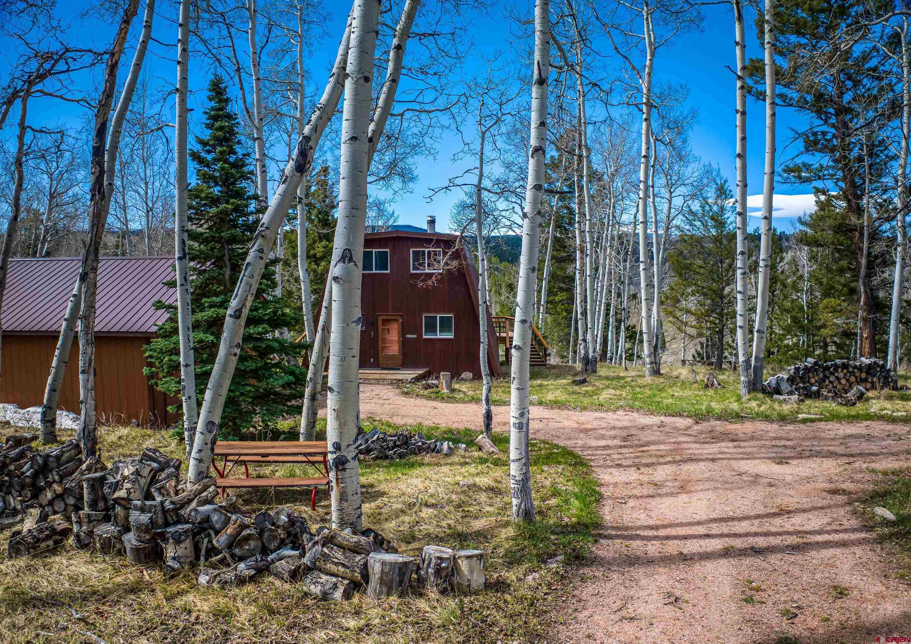 771 Spruce Road Cimarron, CO 81220 - Photo 25 of 34 a backyard of a house with lots of green space