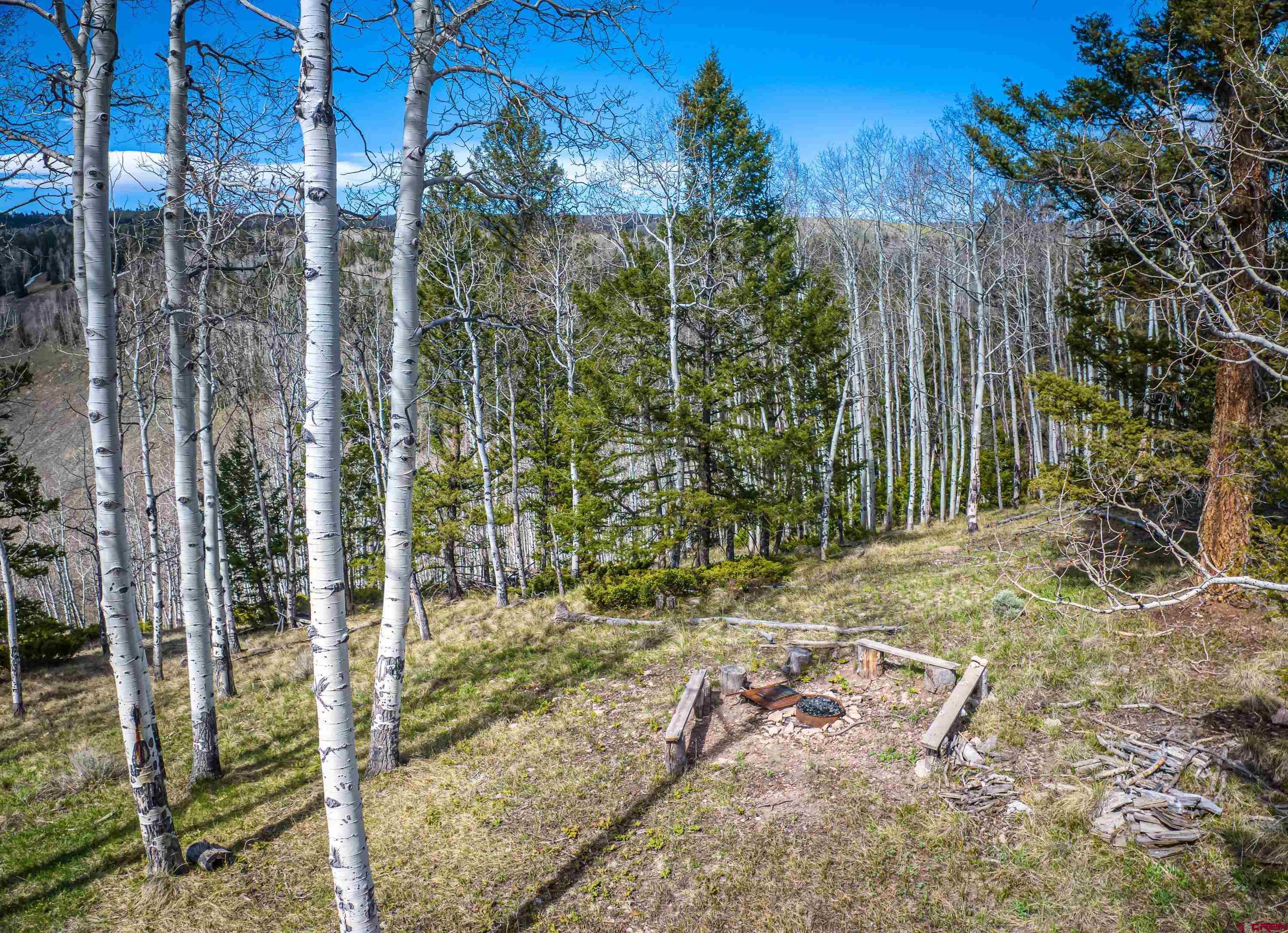 771 Spruce Road Cimarron, CO 81220 - Photo 27 of 34 a view of backyard