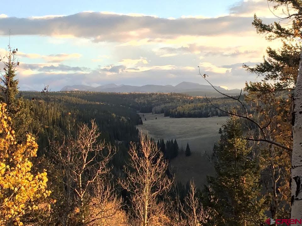 771 Spruce Road Cimarron, CO 81220 - Photo 31 of 34 a view of a lake in middle of the town
