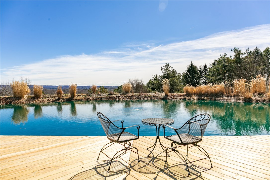 648 Mendon Road Pittsford, NY 14534 - Photo 4 of 50