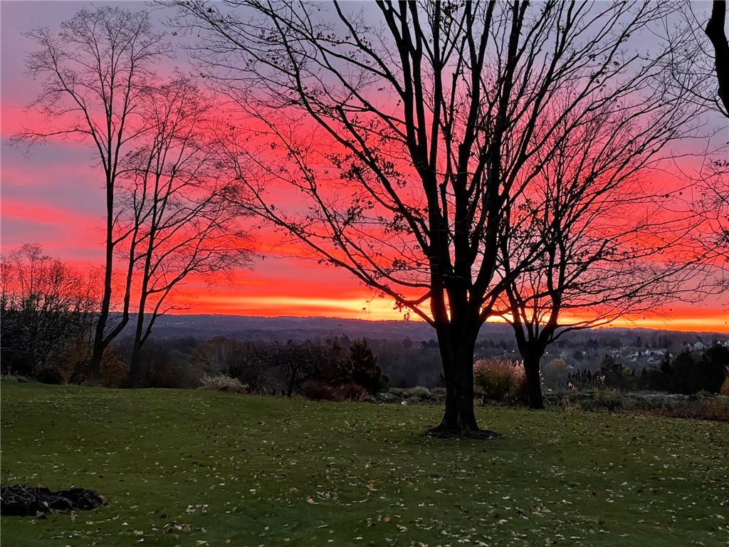 648 Mendon Road Pittsford, NY 14534 - Photo 8 of 50