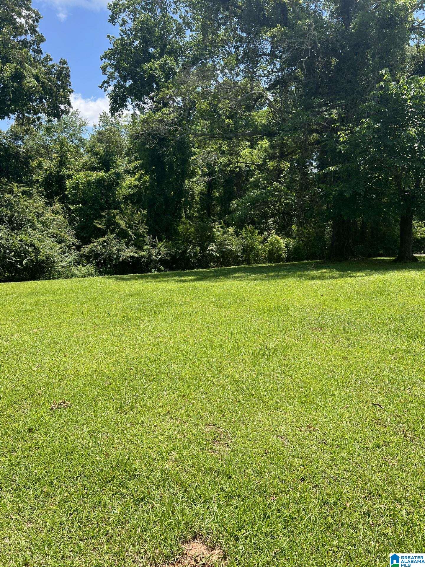 911 County Road 478, Unit 1 Clanton, AL 35046 - Photo 7 of 12