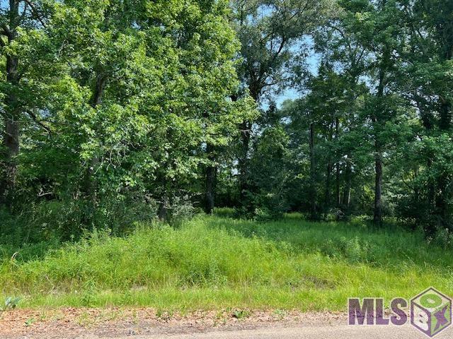 Lot 155 Netterville Street Baton Rouge, LA 70807 - Photo 2 of 6 Gallery Image 2