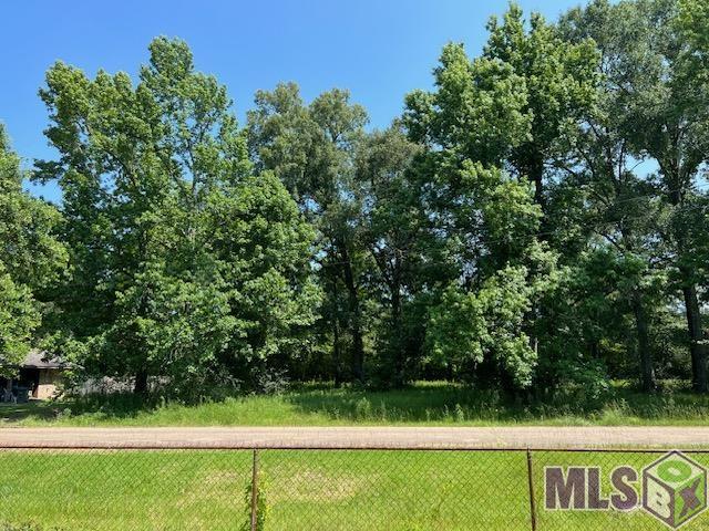 Lot 155 Netterville Street Baton Rouge, LA 70807 - Photo 3 of 6 Gallery Image 3