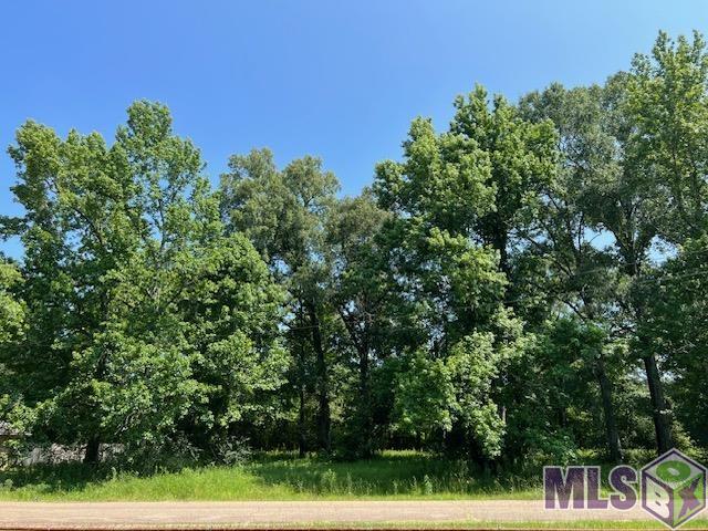 Lot 155 Netterville Street Baton Rouge, LA 70807 - Photo 4 of 6 Gallery Image 4