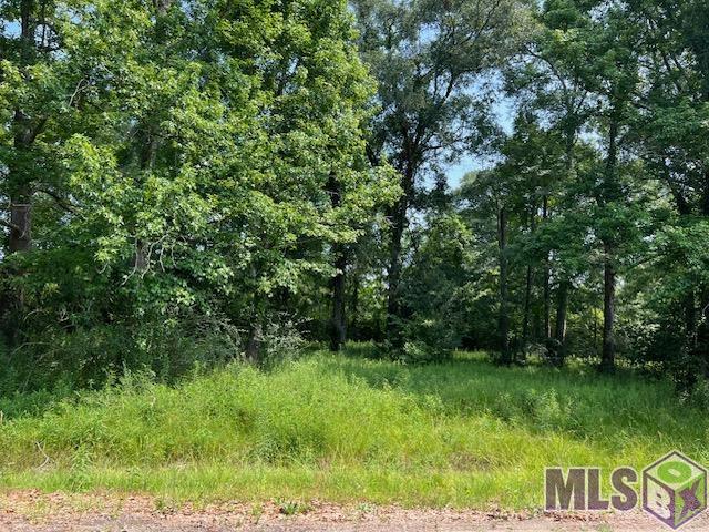 Lot 155 Netterville Street Baton Rouge, LA 70807 - Photo 5 of 6 Gallery Image 5