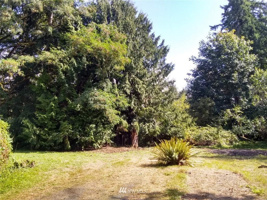 3819 Callow Road Lake Stevens, WA 98258 - Photo 2 of 17 Gallery Image 2