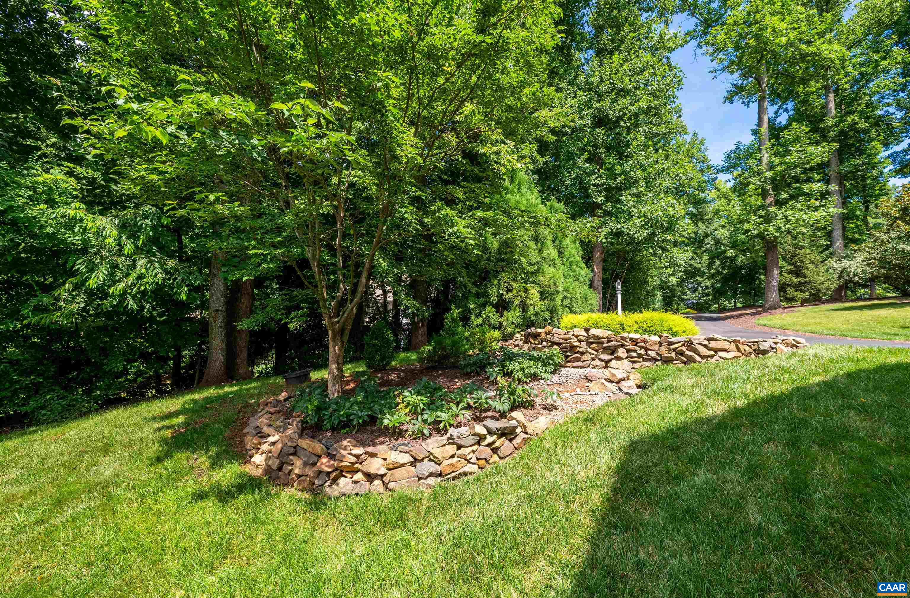 2516 Summit Ridge Trail Charlottesville, VA 22911 - Photo 54 of 54 a garden covered with trees