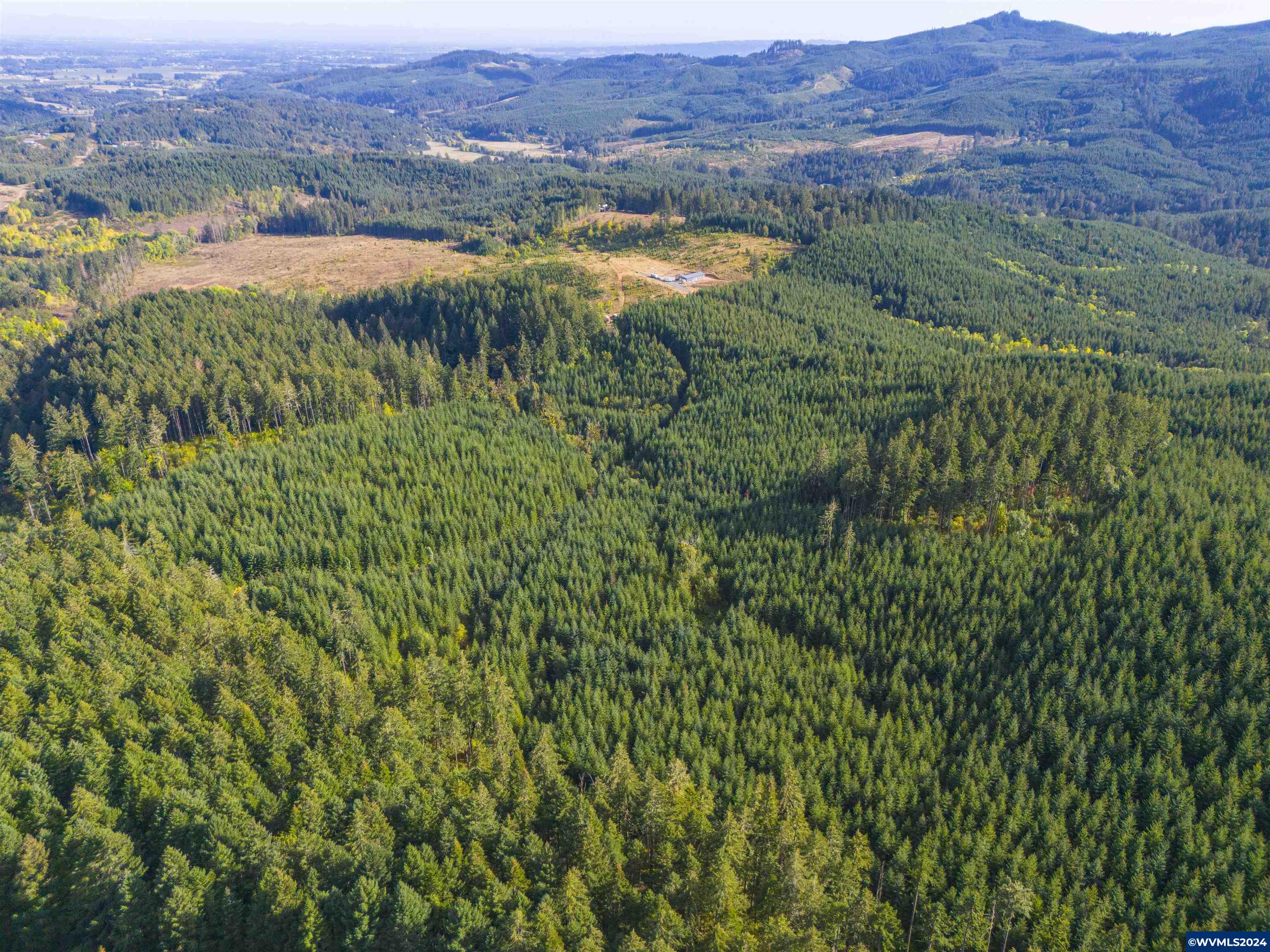 0 Northwest Meadowlake Road Yamhill, OR 97148 - Photo 7 of 14