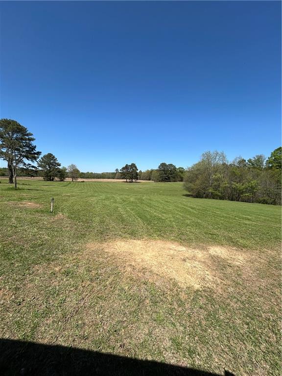 433 Spring Place Resaca Road Chatsworth, GA 30705 - Photo 3 of 5