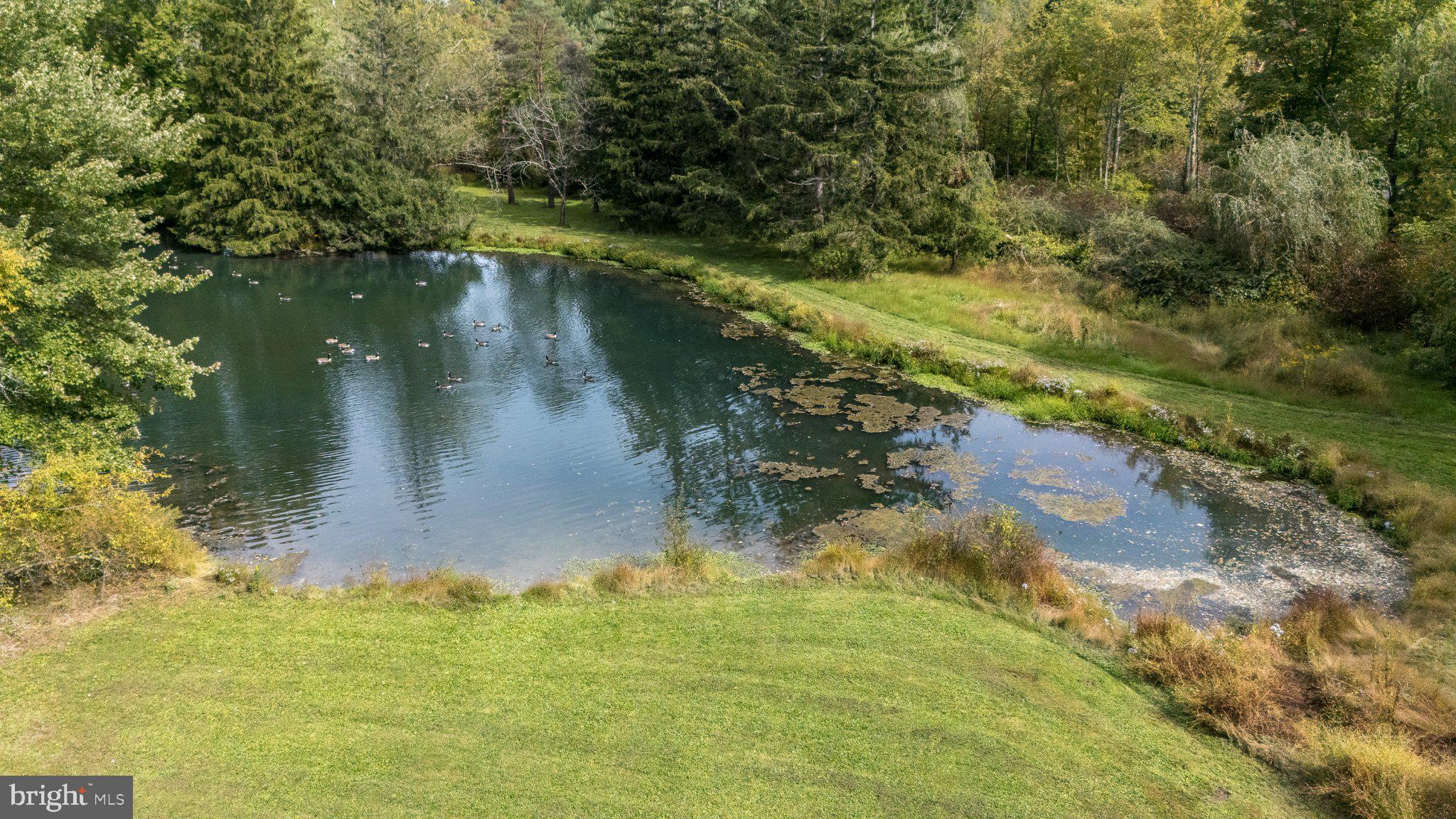 389 Reservoir Road Quakertown, PA 18951 - Photo 65 of 74 Peaceful Private Pond Surrounded by Nature