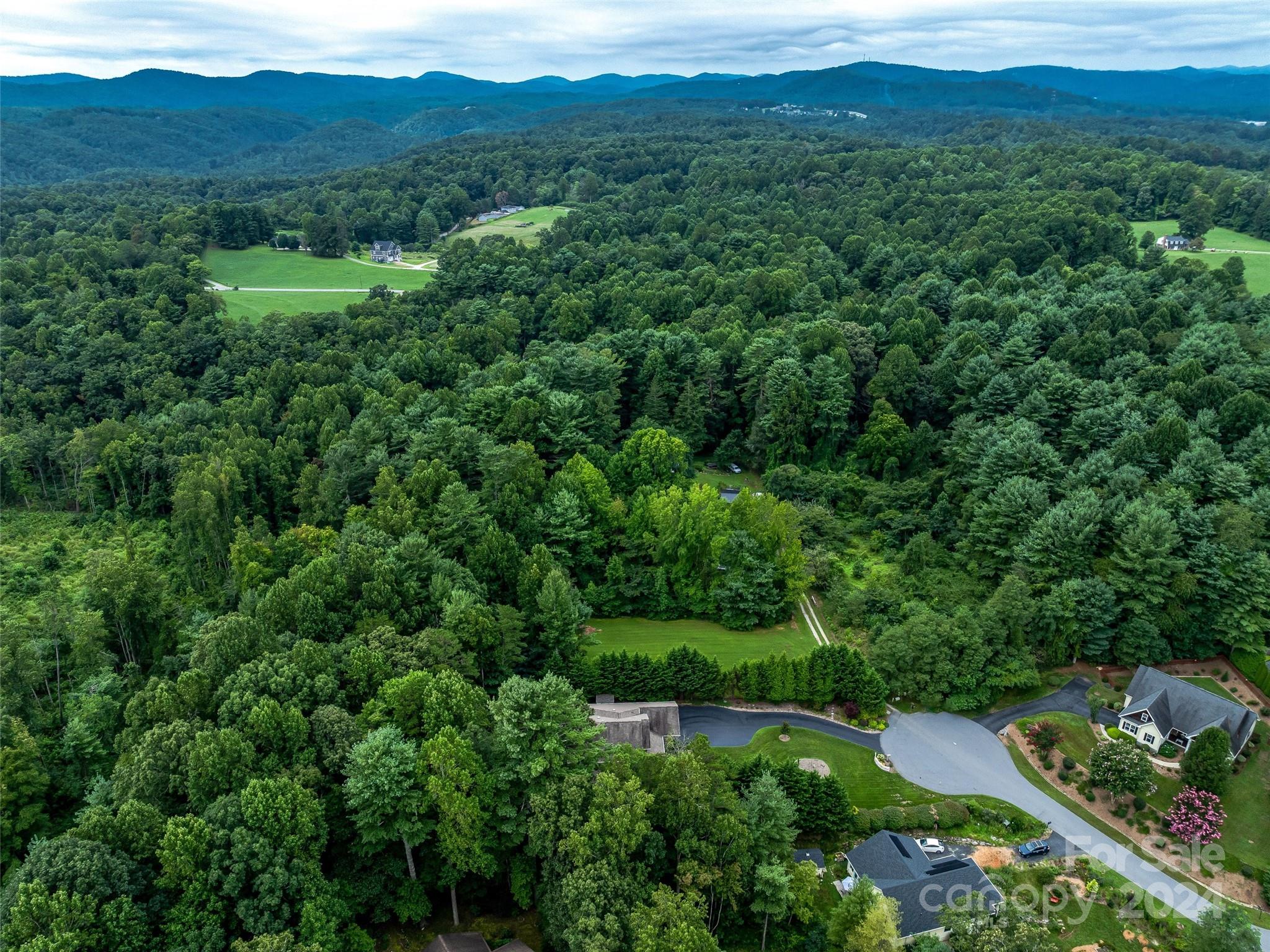 213 Solomon's Cove Road Flat Rock, NC 28731 - Photo 47 of 48 Gallery Image 47