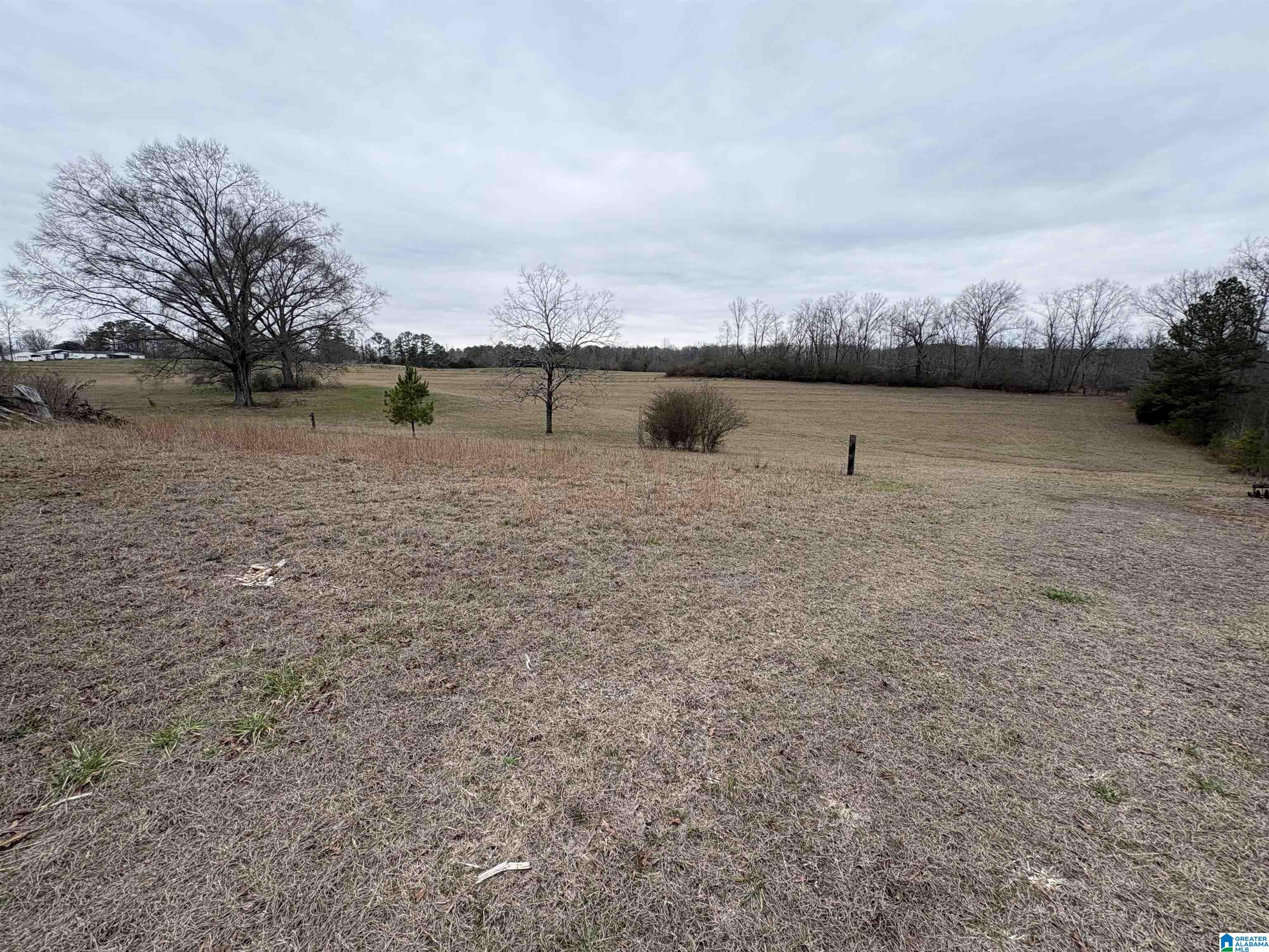 3349 Nail Road, Unit 40 6 ACRES / Warrior, AL 35180 - Photo 5 of 16