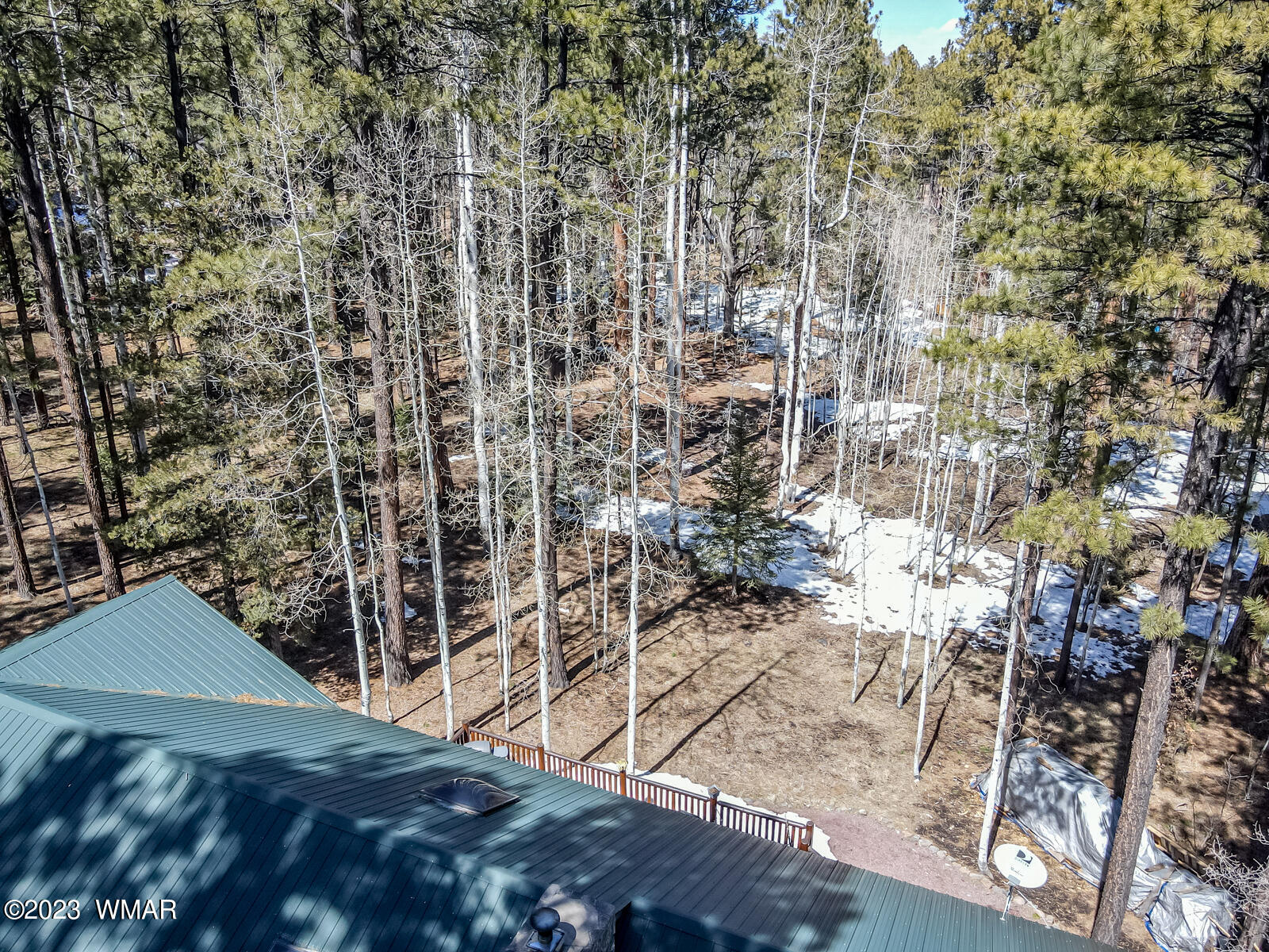 19 County Road Alpine, AZ 85920 - Photo 47 of 48