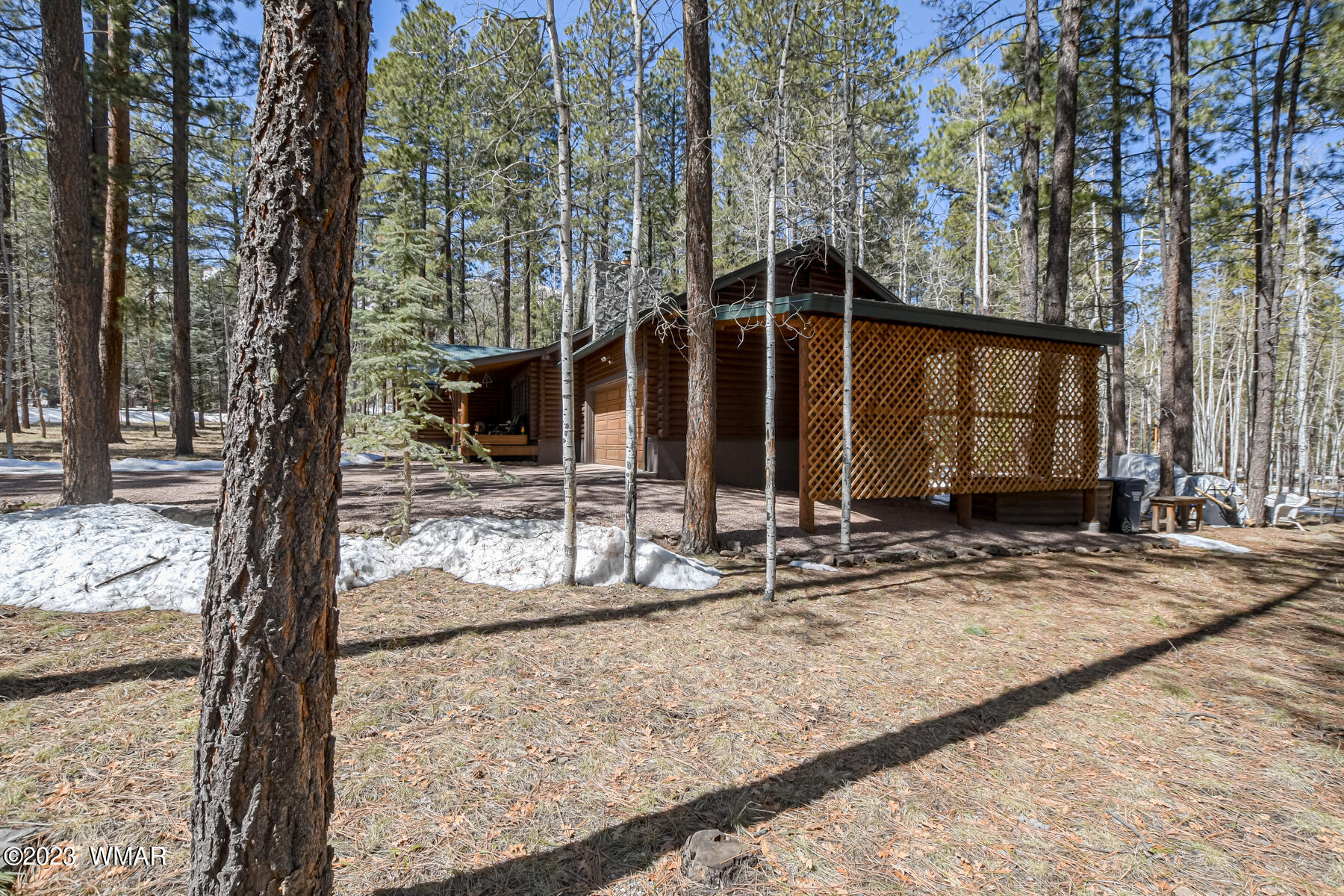 19 County Road Alpine, AZ 85920 - Photo 6 of 48