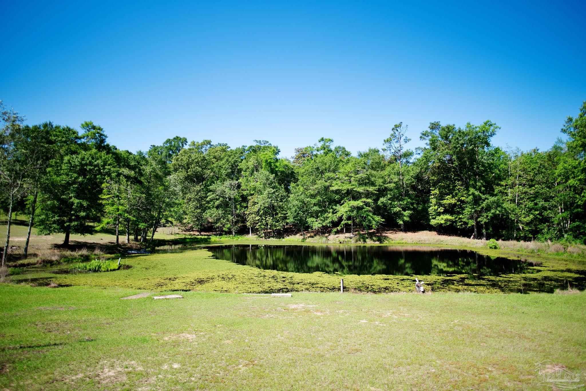 2001 Chavers Road Cantonment, FL 32533 - Photo 29 of 64