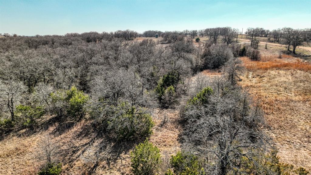 1150 Dps Tower Road, Unit LOT 50 Perrin, TX 76486 - Photo 11 of 17 a view of a covered with trees
