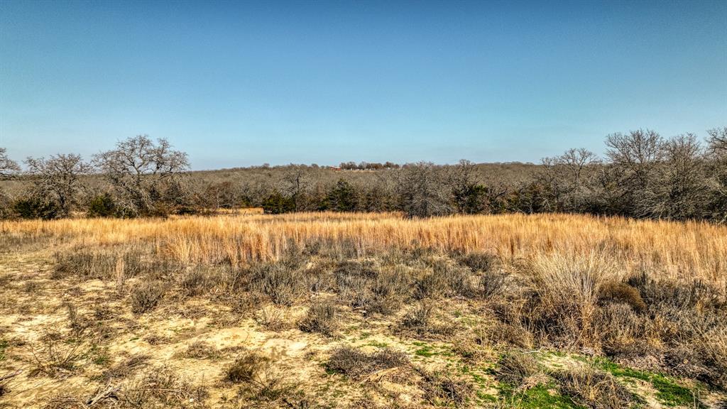 1150 Dps Tower Road, Unit LOT 50 Perrin, TX 76486 - Photo 15 of 17 a view of lake and mountain