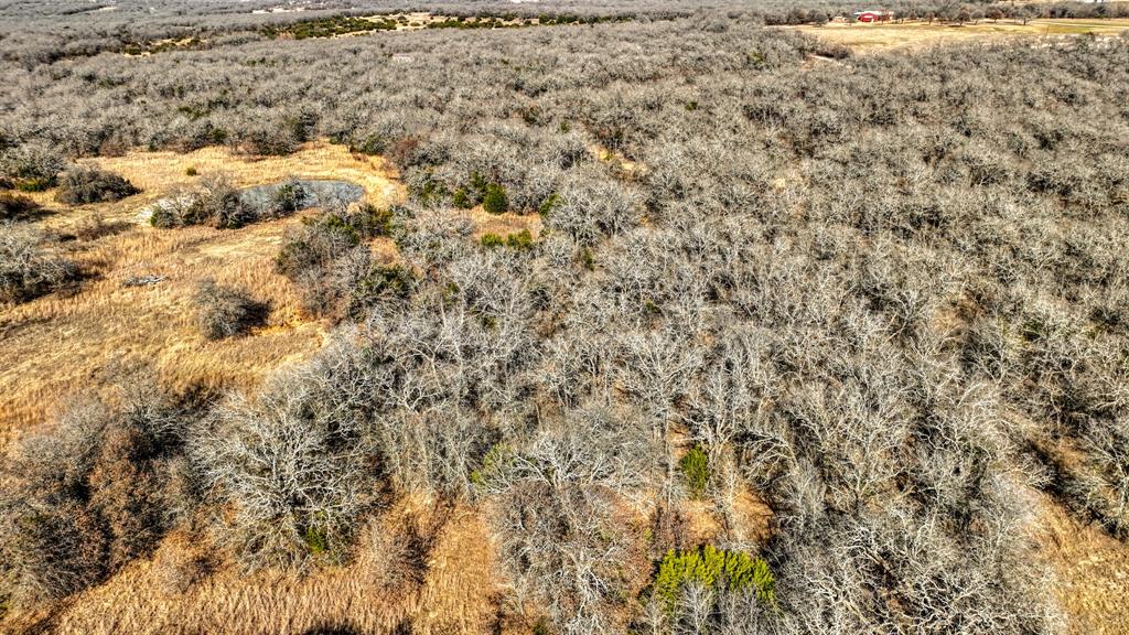 1150 Dps Tower Road, Unit LOT 50 Perrin, TX 76486 - Photo 3 of 17 a view of a covered with large trees