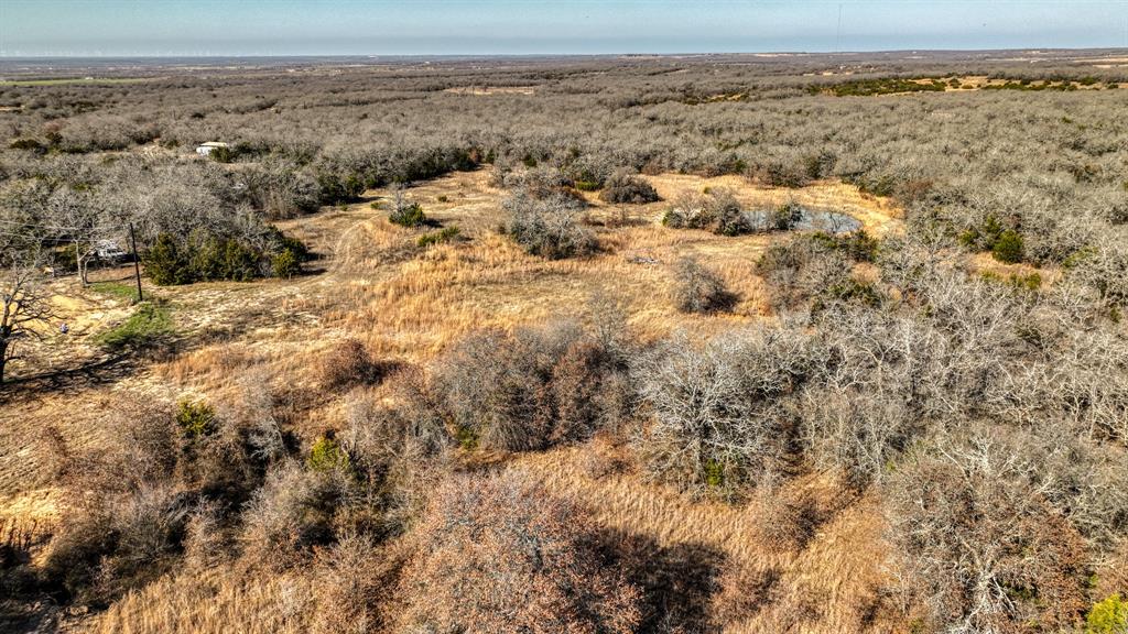 1150 Dps Tower Road, Unit LOT 50 Perrin, TX 76486 - Photo 4 of 17 a view of a big yard