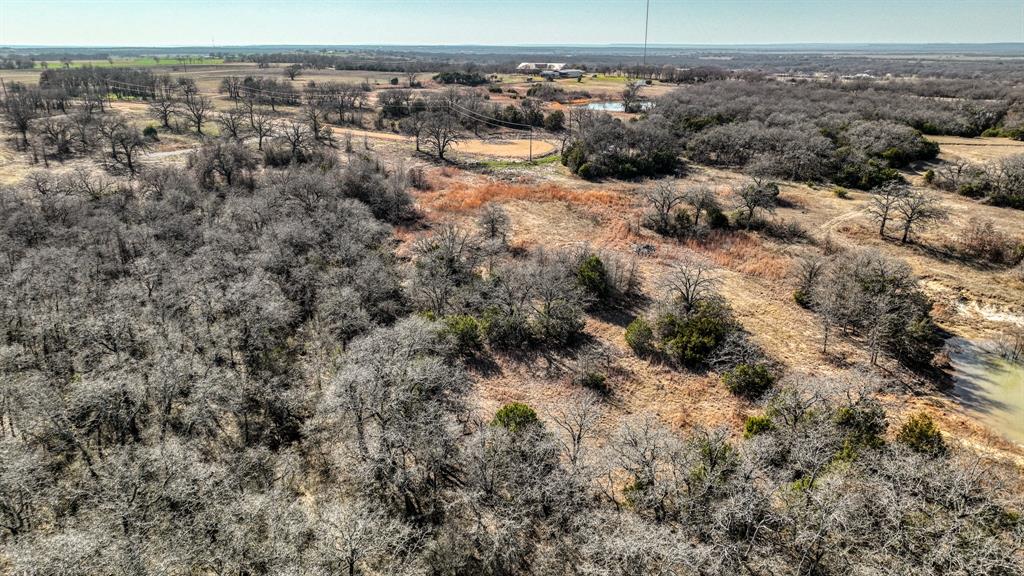 1150 Dps Tower Road, Unit LOT 50 Perrin, TX 76486 - Photo 6 of 17 a view of a dry yard with trees